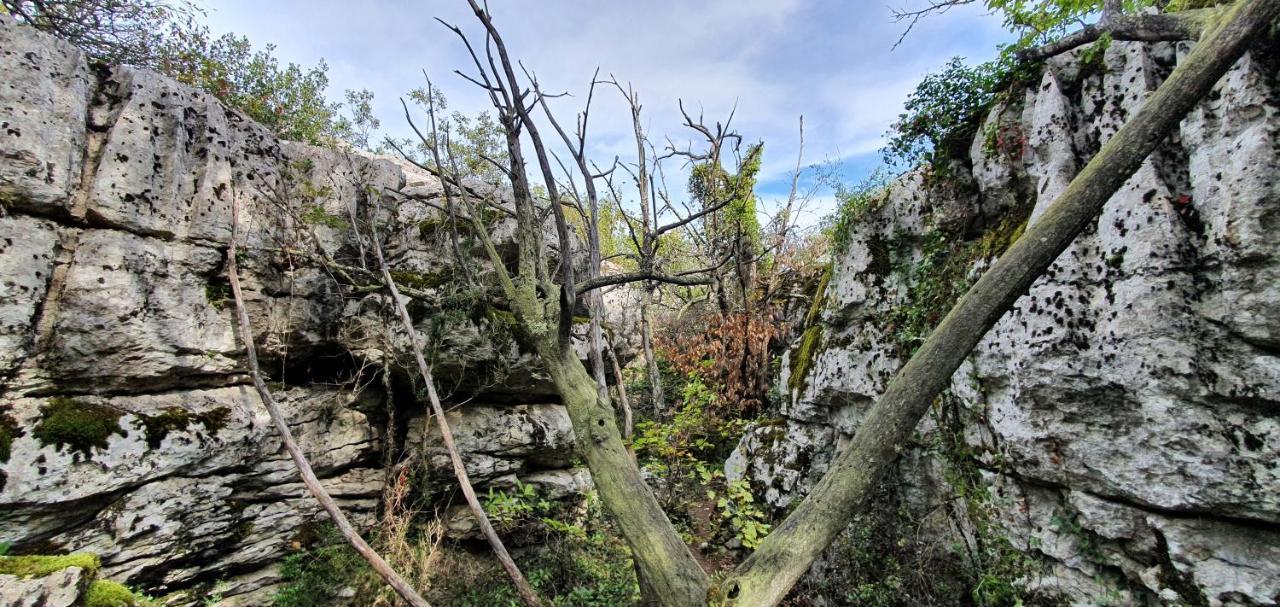 La Grange - Chez Gisi - Fuer Naturliebhaber, Abenteurer Und Geniesser Rocles  Экстерьер фото