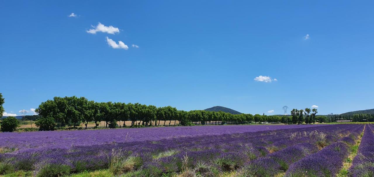La Grange - Chez Gisi - Fuer Naturliebhaber, Abenteurer Und Geniesser Rocles  Экстерьер фото
